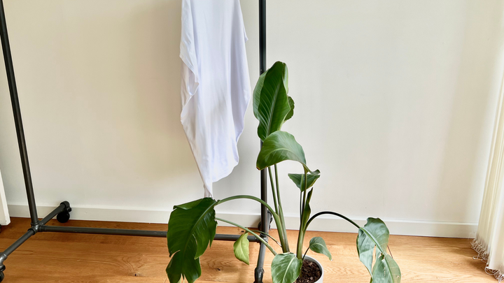 A white shift dress in organic cotton hanging on a rack in Malaika New York studio 